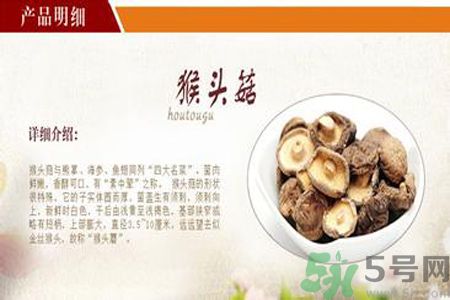 猴頭菇是發物嗎？猴頭菇是不是發物？