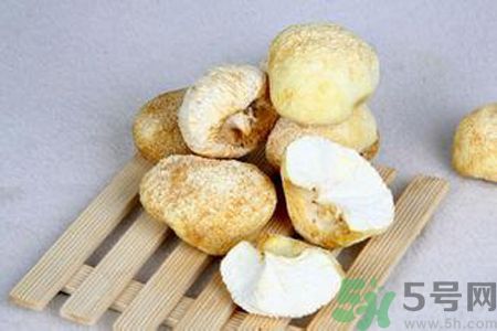  哺乳期可以吃猴頭菇嗎？產婦可以吃猴頭菇嗎？
