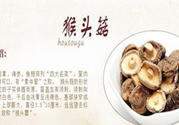  哺乳期可以吃猴頭菇嗎？產婦可以吃猴頭菇嗎？