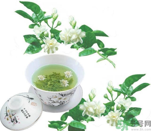茉莉花茶是熱性還是涼性？茉莉花茶是涼性嗎？