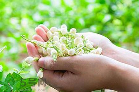 茉莉花茶可以和玫瑰花茶一起喝嗎？茉莉花茶和玫瑰花茶一起泡著喝好嗎？