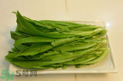 油麥菜和萵筍葉的區別?