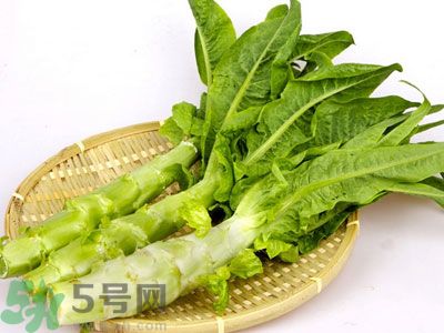 油麥菜和萵筍葉的區別?