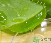 如何在家自制補水面膜？自制的面膜好用嗎？