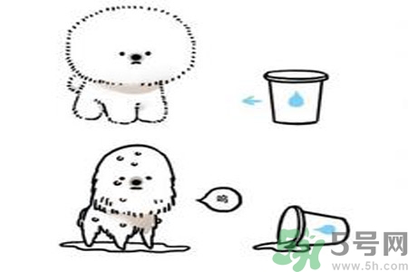虛胖是什么原因？虛胖怎么辦？