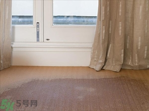 房間潮濕怎么辦？房間潮濕如何解決？
