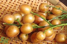黃皮果是酸性還是堿性？黃皮果是堿性嗎？