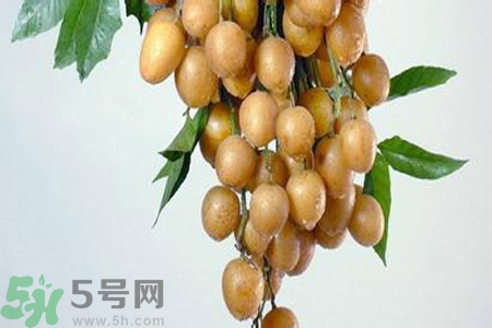 黃皮果是不是發物？黃皮果是發物嗎？