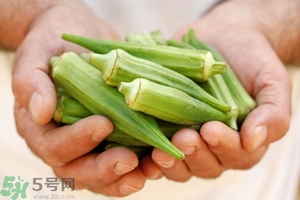 腎病可以吃秋葵嗎？腎病患者能吃秋葵嗎？