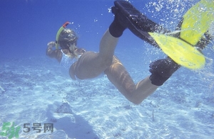 浮潛是什么意思？深潛和浮潛有什么區(qū)別？?