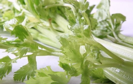 芹菜葉子能吃嗎?芹菜葉子的營養價值
