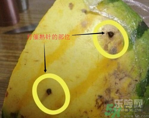 如何辨別催熟的西瓜？催熟的西瓜是什么樣的？