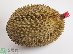 榴蓮沒開口可以吃嗎？榴蓮沒裂開能吃嗎？