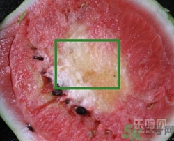如何辨別催熟的西瓜？催熟的西瓜是什么樣的？