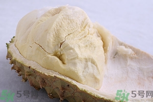 榴蓮能放冰箱嗎？榴蓮放在冰箱能保存幾天？