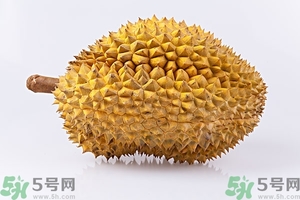 榴蓮能放冰箱嗎？榴蓮放在冰箱能保存幾天？