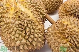 榴蓮能放冰箱嗎？榴蓮放在冰箱能保存幾天？
