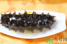 海參是發物嗎?海參是不是發物?