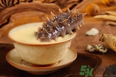 新鮮海參怎么保存?發好的海參怎么保存?