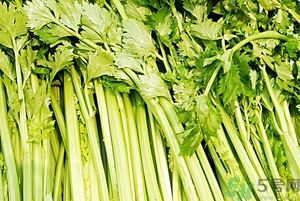 貧血能吃芹菜嗎？貧血吃芹菜好不好？