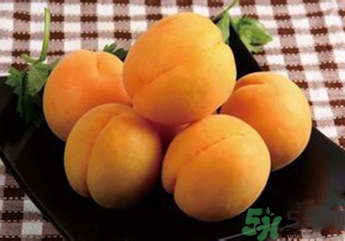 杏子是熱性還是涼性？杏子是涼性的嗎？