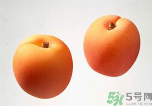 杏子是酸性還是堿性？杏子是酸性的嗎？