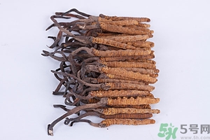 冬蟲夏草真假怎么鑒別？冬蟲夏草怎么吃效果最好？