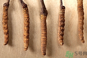 冬蟲夏草真假怎么鑒別？冬蟲夏草怎么吃效果最好？
