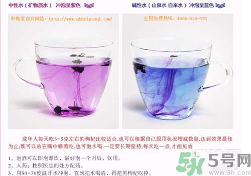 黑枸杞怎么辨別真假？怎么挑選黑枸杞？