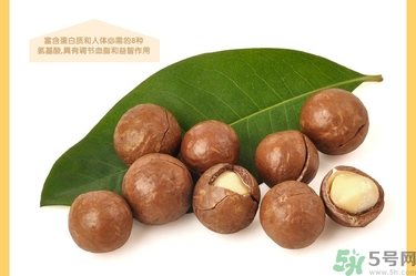 夏威夷果肉黏殼怎么辦？夏威夷果能放多久？