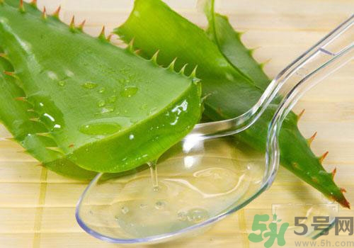 蘆薈膠要洗臉嗎？用完蘆薈膠要不要洗臉？
