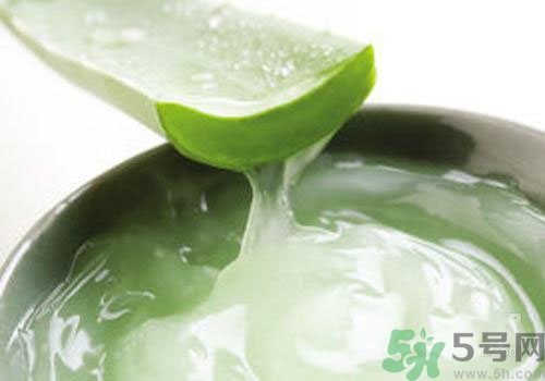 孕婦可以用蘆薈膠嗎？蘆薈膠孕婦可以用嗎？