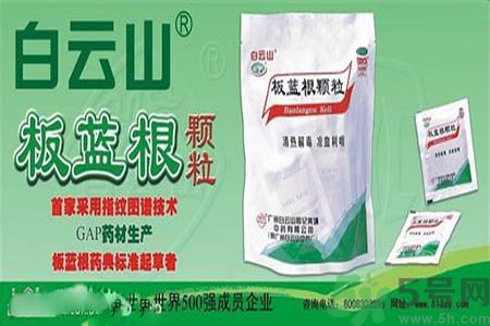 感冒了吃板藍(lán)根有效嗎？感冒了吃板藍(lán)根有用嗎？
