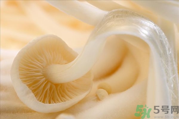 致癌金針菇怎么鑒別？如何選購金針菇？