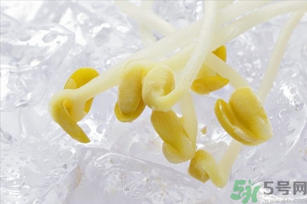 黃豆芽是熱性還是涼性？黃豆芽是堿性還是酸性的？