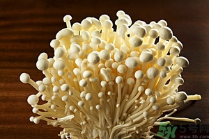 致癌金針菇怎么鑒別？如何選購金針菇？