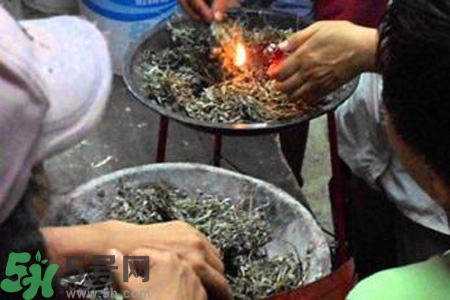 夏天可以用艾草驅蚊嗎？夏天可不可以用艾草驅蚊？