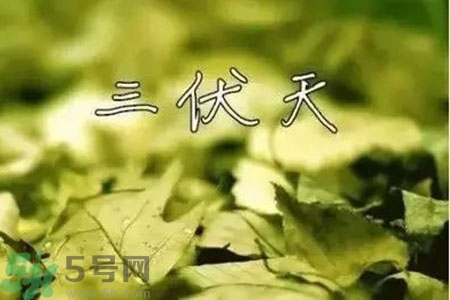 三伏天什么時(shí)候開(kāi)始？三伏天是什么意思？