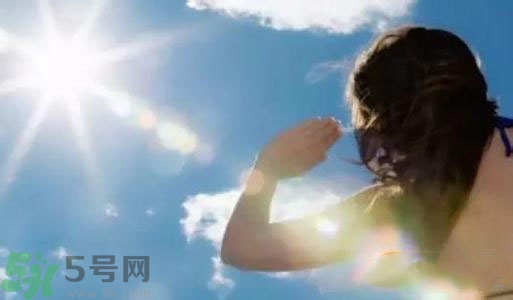 三伏天吃什么？三伏天傳統美食有哪些？