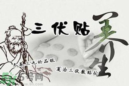 三伏貼有用嗎？三伏貼可以治什么病？