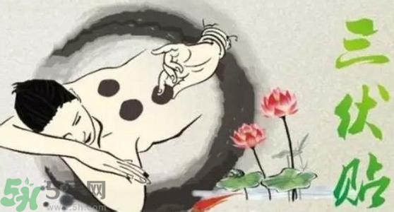 三伏貼的印子怎么去掉？三伏貼的印記多久才會(huì)消失？