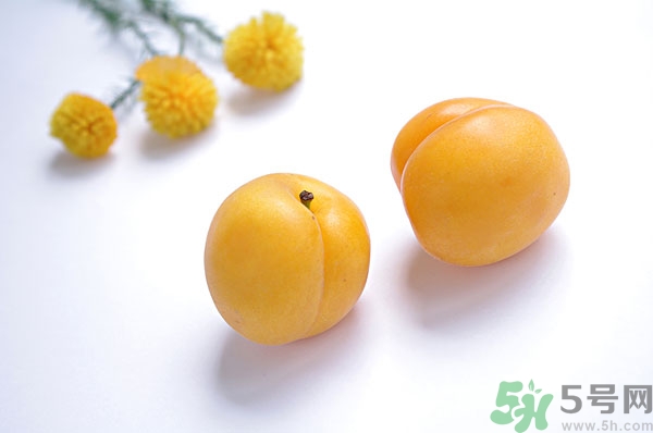 吃杏子能減肥嗎？杏子的功效與作用