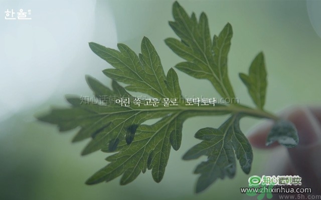 韓律艾草補(bǔ)水鎮(zhèn)靜噴霧怎么樣？好用嗎？