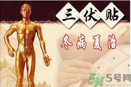 胃病可以貼三伏貼嗎？胃病貼三伏貼貼哪里？