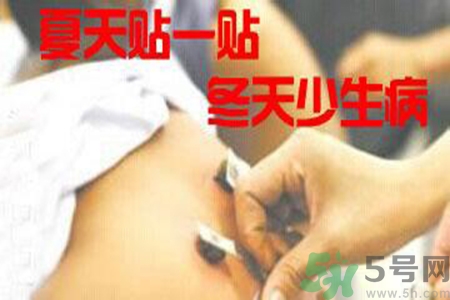 腰痛貼三伏貼有用嗎？腰痛三伏貼貼哪個穴位？