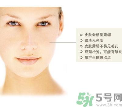 干性皮膚用什么洗面奶？干性皮膚該怎么保養？