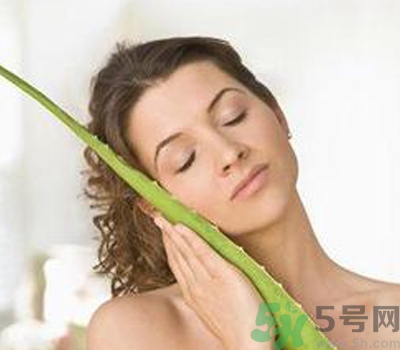 蘆薈膠會堵塞毛孔嗎？蘆薈膠應該怎么用？