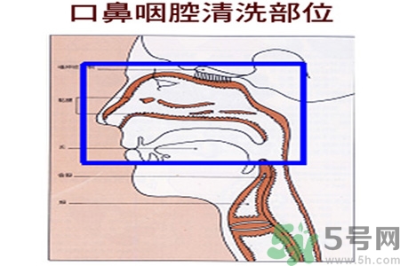 鼻炎能用生理鹽水清理鼻腔嗎？鼻炎能不能用生理鹽水清理鼻腔？