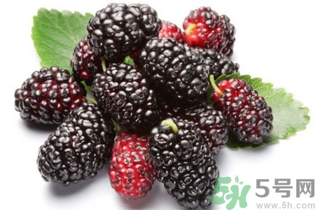 桑葚怎么洗?桑葚怎么保存? 桑葚怎么洗?桑葚怎么保存?