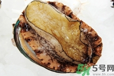 鮑魚如何挑選？鮑魚如何保存？